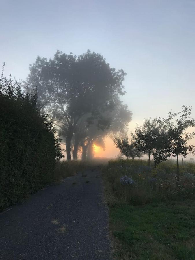 Zomerdijk-Inn Zuid Wanneperveen Ngoại thất bức ảnh